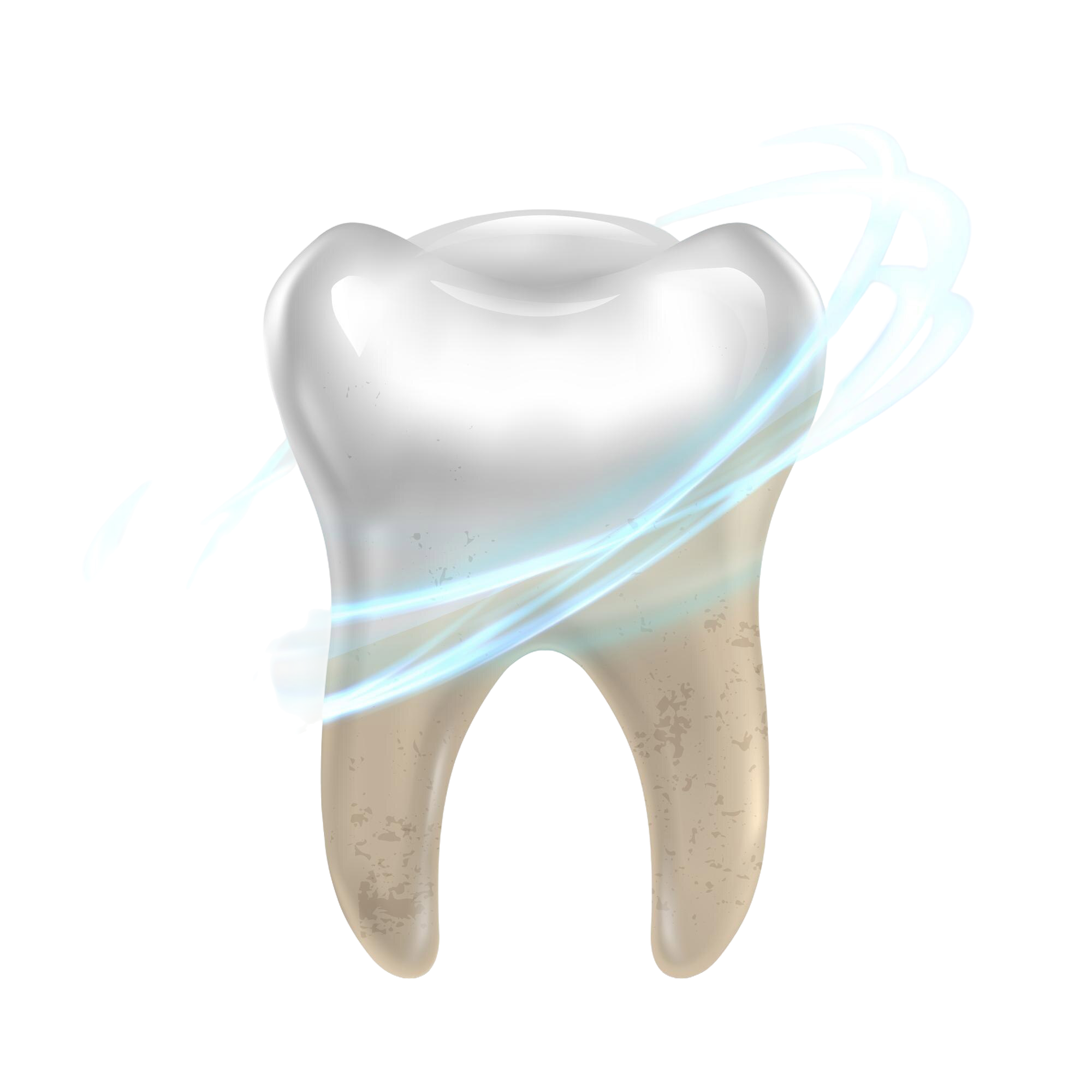 Dental Artwork Accent